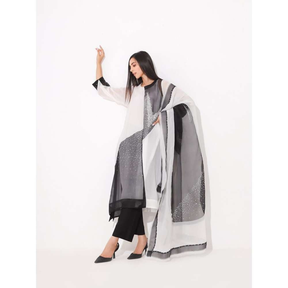 Neelu Sethi Black & White Organza Embroidered Kurta and Pant With Dupatta (Set of 3)