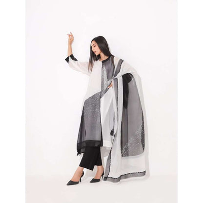 Neelu Sethi Black & White Organza Embroidered Kurta and Pant With Dupatta (Set of 3)
