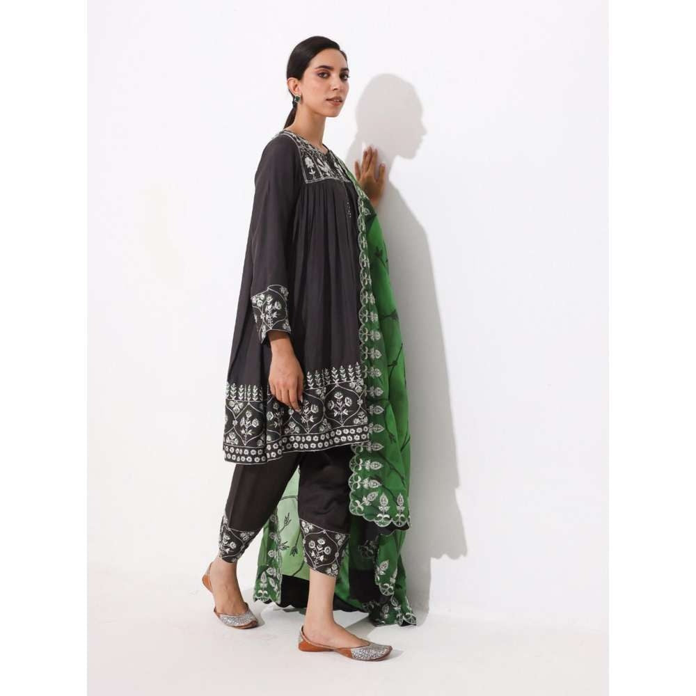 Neelu Sethi Silk Embroidered Kurta and Salwar with Organza Zari Dupatta (Set of 3)