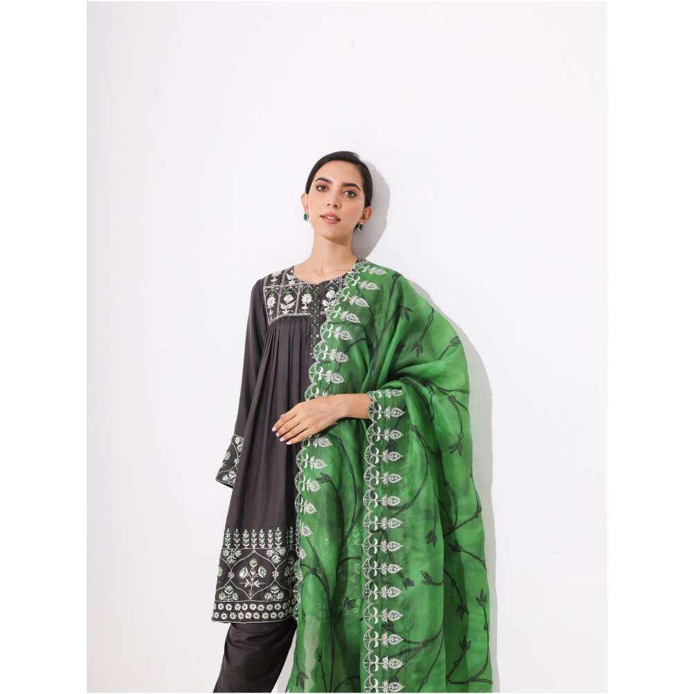 Neelu Sethi Silk Embroidered Kurta and Salwar with Organza Zari Dupatta (Set of 3)