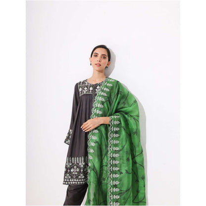 Neelu Sethi Silk Embroidered Kurta and Salwar with Organza Zari Dupatta (Set of 3)