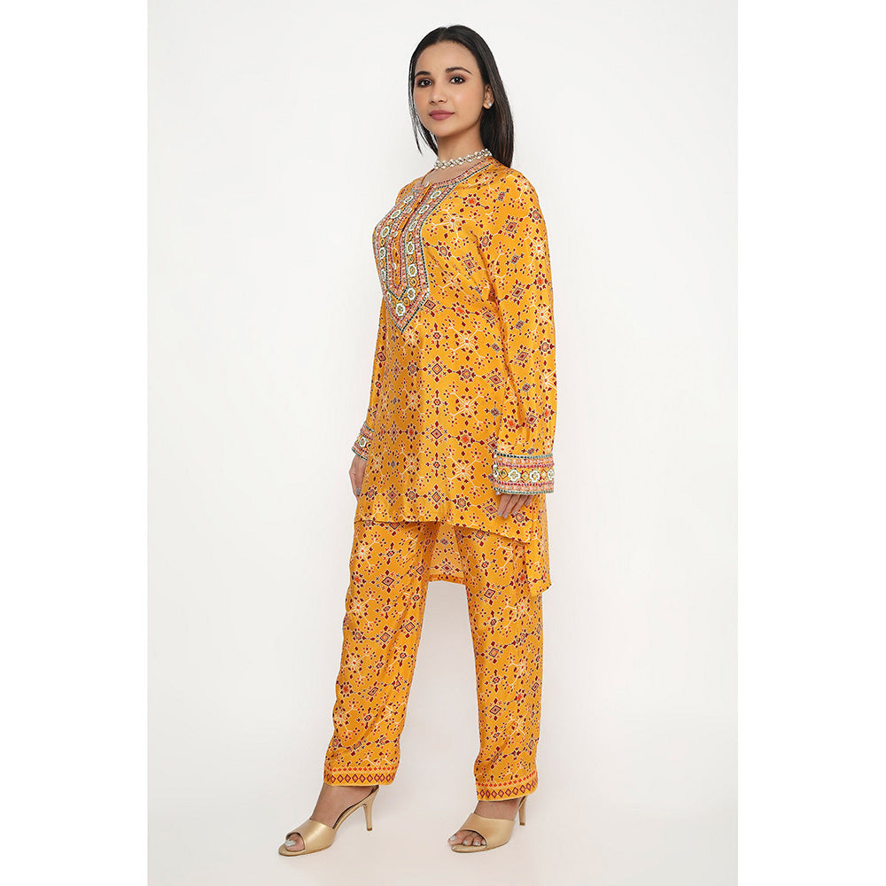 Neha Mehra Orange Killa Embroidered Kurta and Pant (Set of 2)