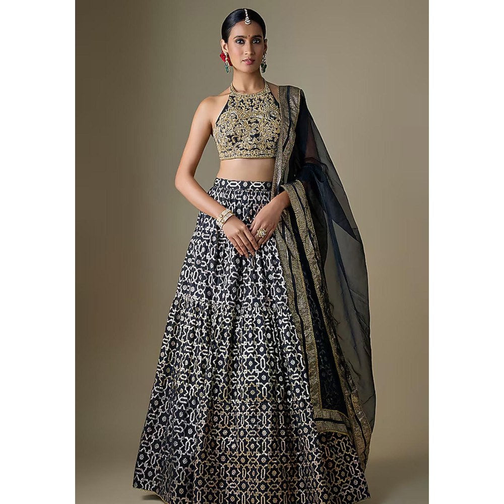 Neha Khullar Black Banarasi Printed Lehenga with Stitched Blouse and Dupatta