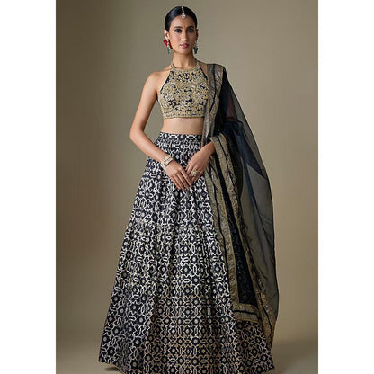 Neha Khullar Black Banarasi Printed Lehenga with Stitched Blouse and Dupatta