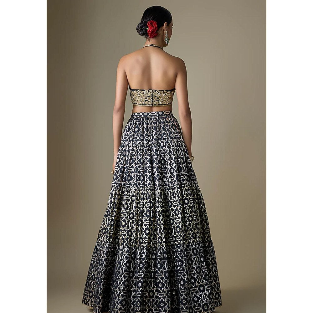 Neha Khullar Black Banarasi Printed Lehenga with Stitched Blouse and Dupatta