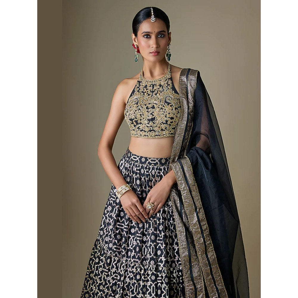 Neha Khullar Black Banarasi Printed Lehenga with Stitched Blouse and Dupatta