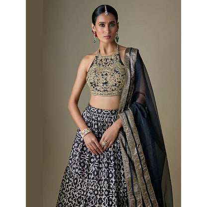 Neha Khullar Black Banarasi Printed Lehenga with Stitched Blouse and Dupatta