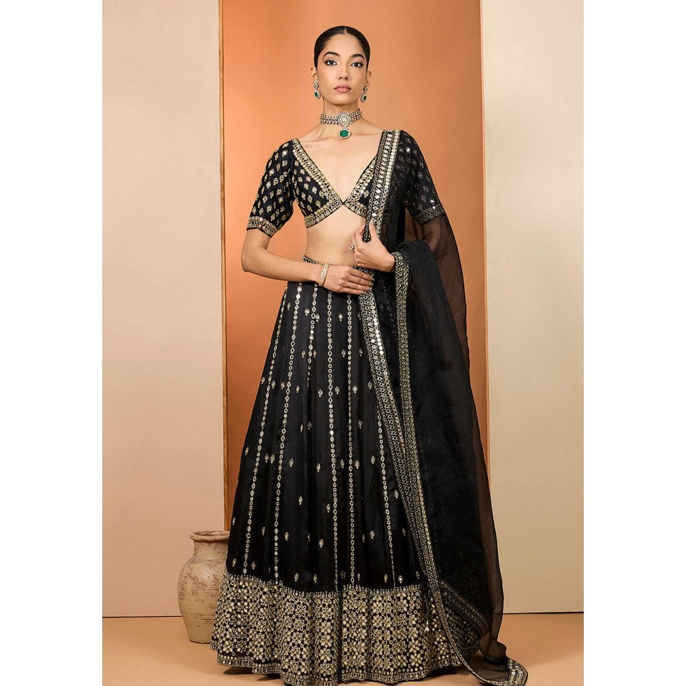 Neha Khullar Black Silk Organza Hand Embroidered Lehenga With Stitched Blouse and Dupatta