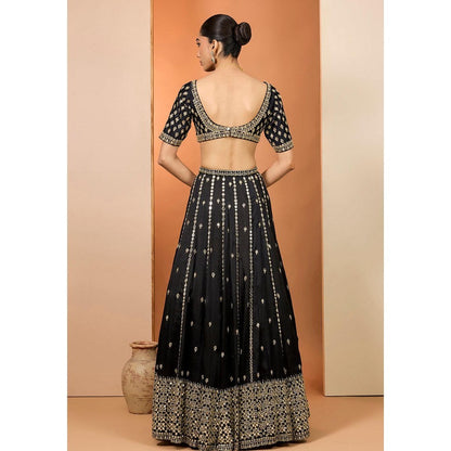 Neha Khullar Black Silk Organza Hand Embroidered Lehenga With Stitched Blouse and Dupatta