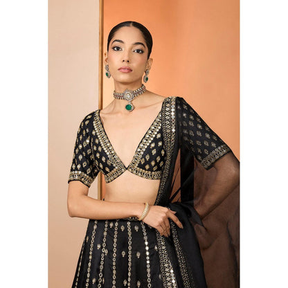 Neha Khullar Black Silk Organza Hand Embroidered Lehenga With Stitched Blouse and Dupatta