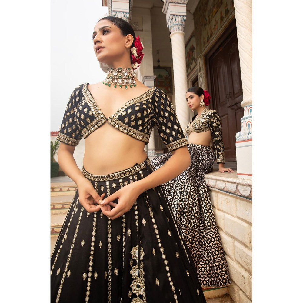 Neha Khullar Black Silk Organza Hand Embroidered Lehenga With Stitched Blouse and Dupatta
