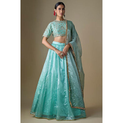Neha Khullar Blue Tissue Dori Embroidered Lehenga with Stitched Blouse and Dupatta