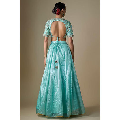 Neha Khullar Blue Tissue Dori Embroidered Lehenga with Stitched Blouse and Dupatta