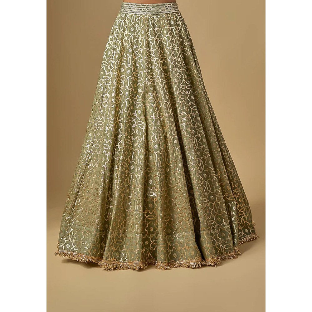Neha Khullar Mint Green Banarasi Chanderi Corset Lehenga with Stitched Blouse and Dupatta