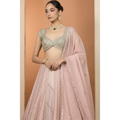Neha Khullar Pink And Mint Green Lehenga with Stitched Blouse and Dupatta
