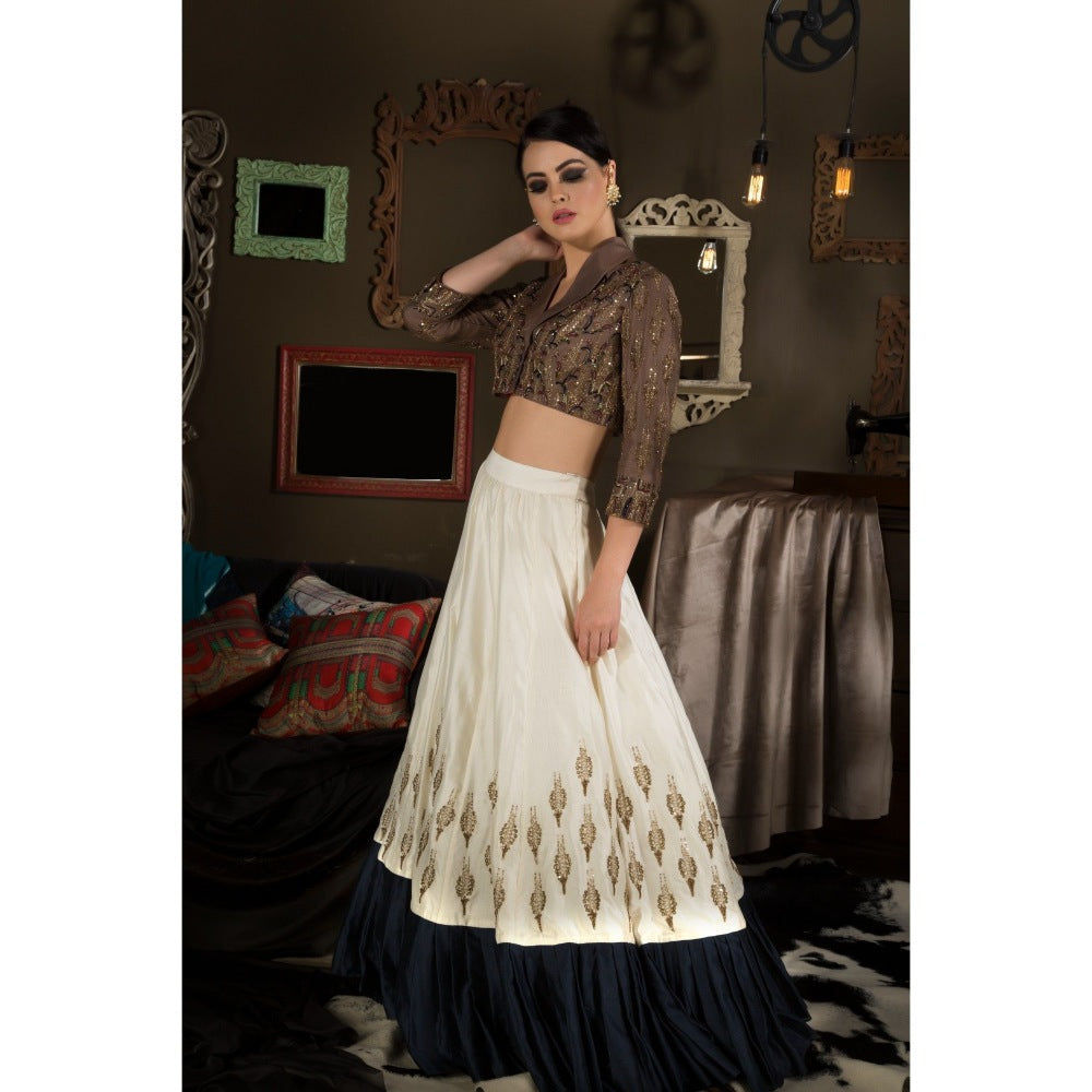 Neha Tarun Brown Colour Block Lehenga with Blouse (Set of 2)