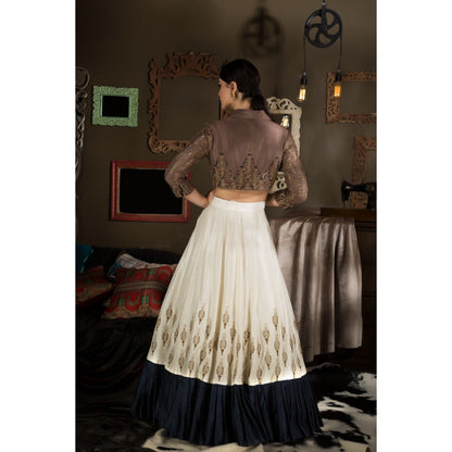 Neha Tarun Brown Colour Block Lehenga with Blouse (Set of 2)