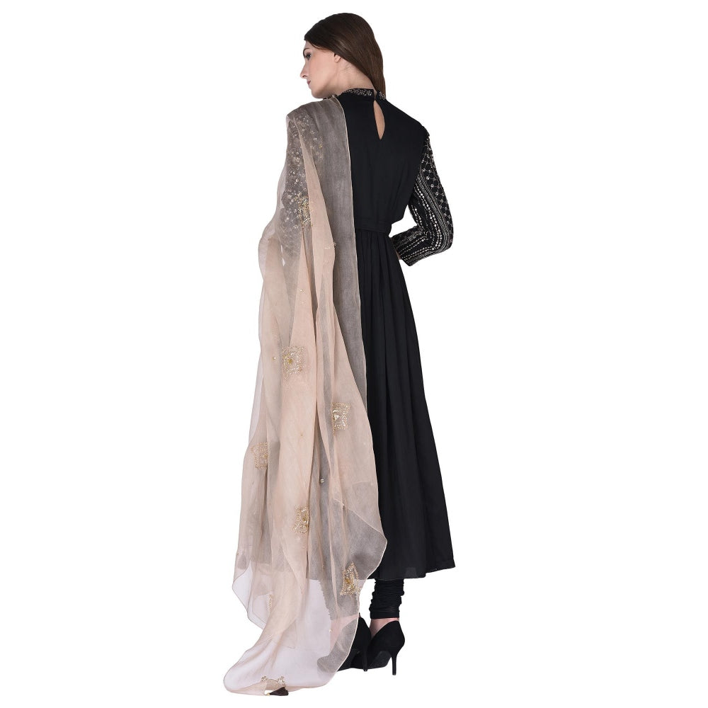 Neha Tarun Embellished Pleated Anarkali Kurta with Churidar and Dupatta (Set of 3)