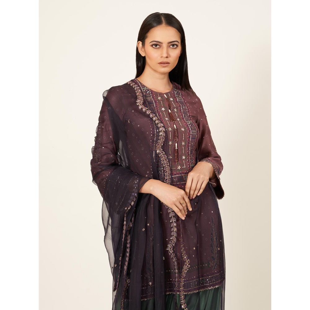 Neha Tarun Short Kurti with Contrasting Salwar and Organza Dupatta (Set of 3)