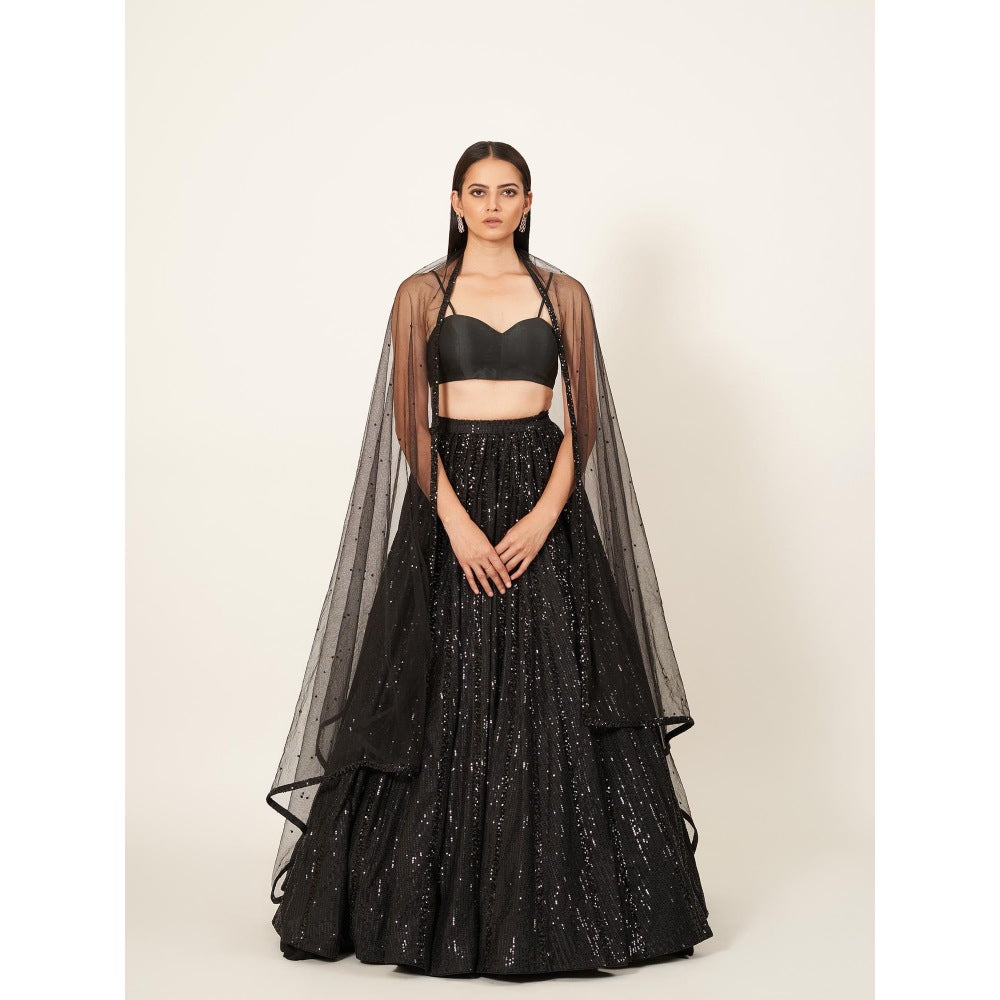 Neha Tarun Strap Blouse with Sequenced Lehenga and Net Dupatta (Set of 3)