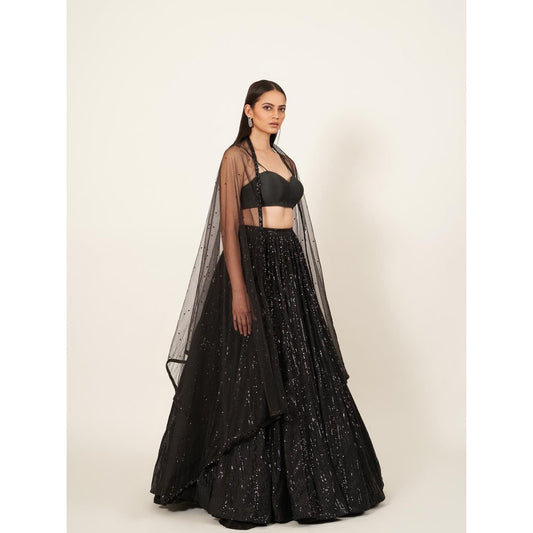 Neha Tarun Strap Blouse with Sequenced Lehenga and Net Dupatta (Set of 3)