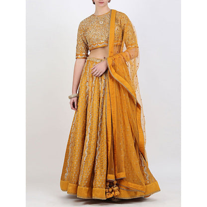 Nikasha Rani Ochre Jaal Lehenga Set
