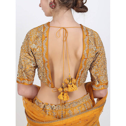Nikasha Rani Ochre Jaal Lehenga Set
