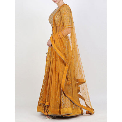 Nikasha Rani Ochre Jaal Lehenga Set