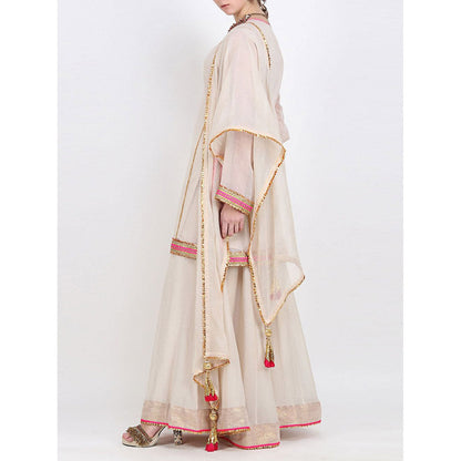 Nikasha Beige Kota Doria Sharara With Dupatta - Set of 3