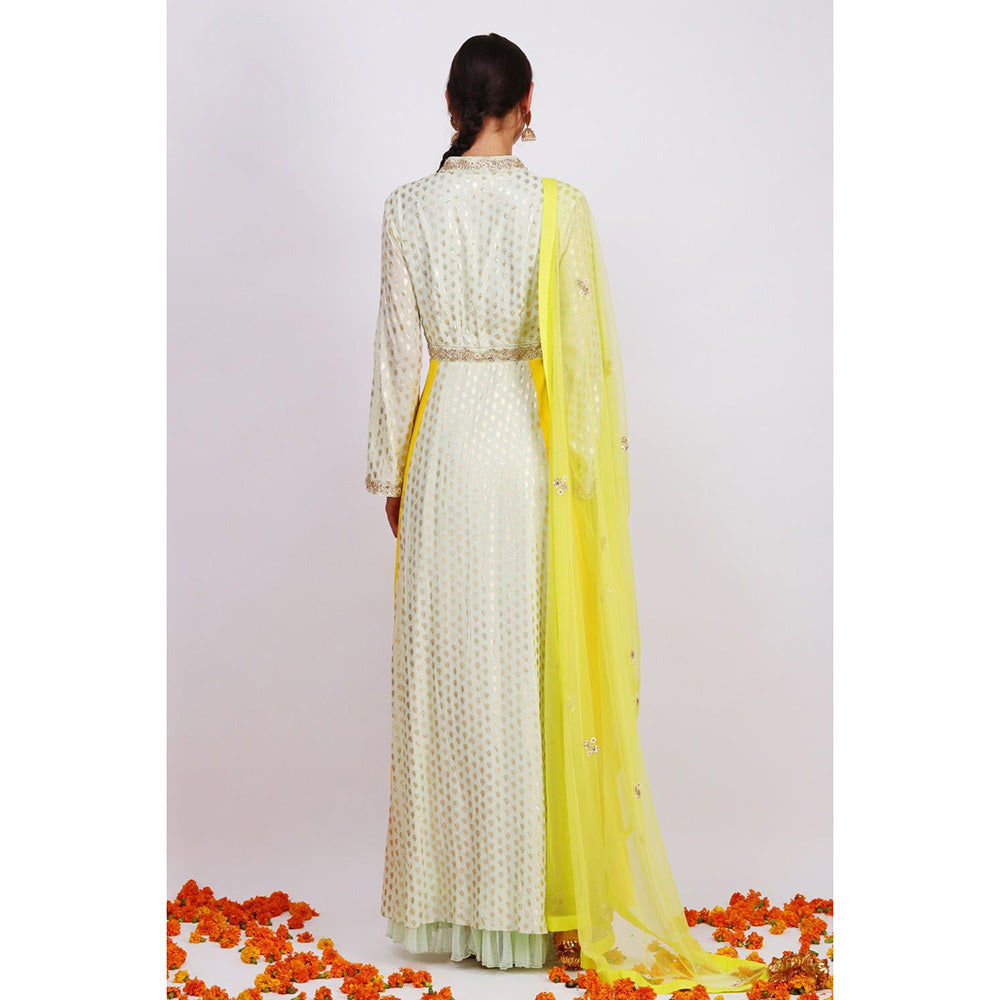 Nikasha Pista Rani Kalidar Pair With Churidar and Dupatta - Set of 3