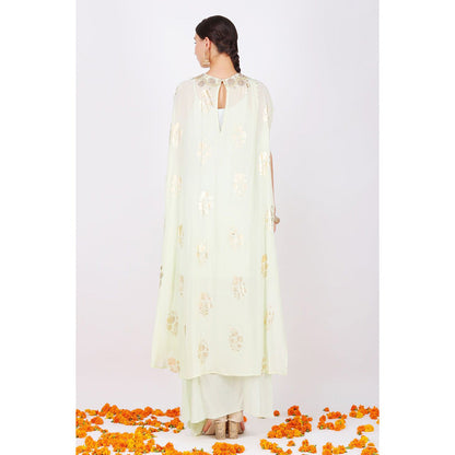 Nikasha Pista Rani Flare sleeve top With Pant - Set of 2