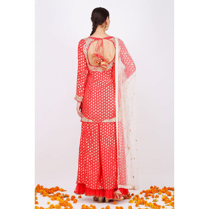 Nikasha Gajari Rani Kurta With Net Sharara and net embroidered Dupatta - Set of 3