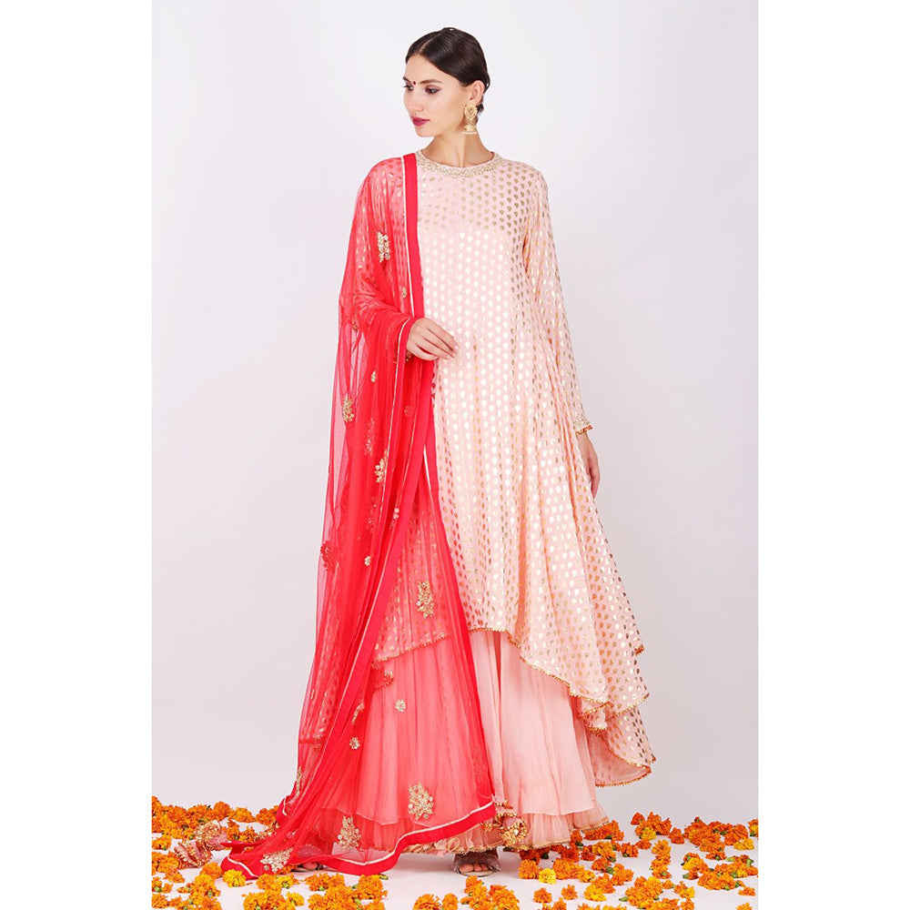 Nikasha Salmon Rani Kurta With Sharara and Net embroidered Kurta - Set of 3
