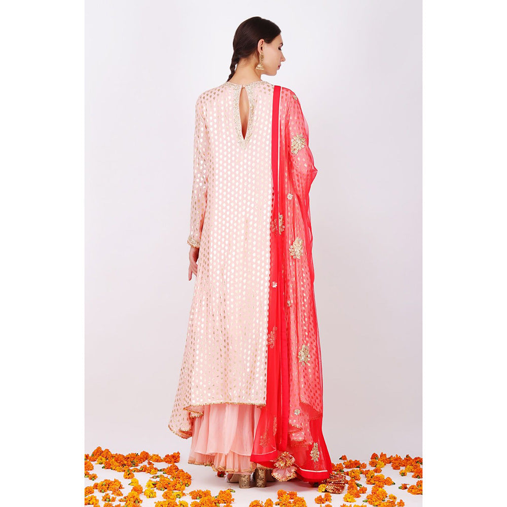 Nikasha Salmon Rani Kurta With Sharara and Net embroidered Kurta - Set of 3