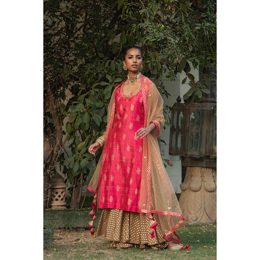 Nikasha Pink Printed Kurta With Sharara Pants & Dupatta (Set of 3)