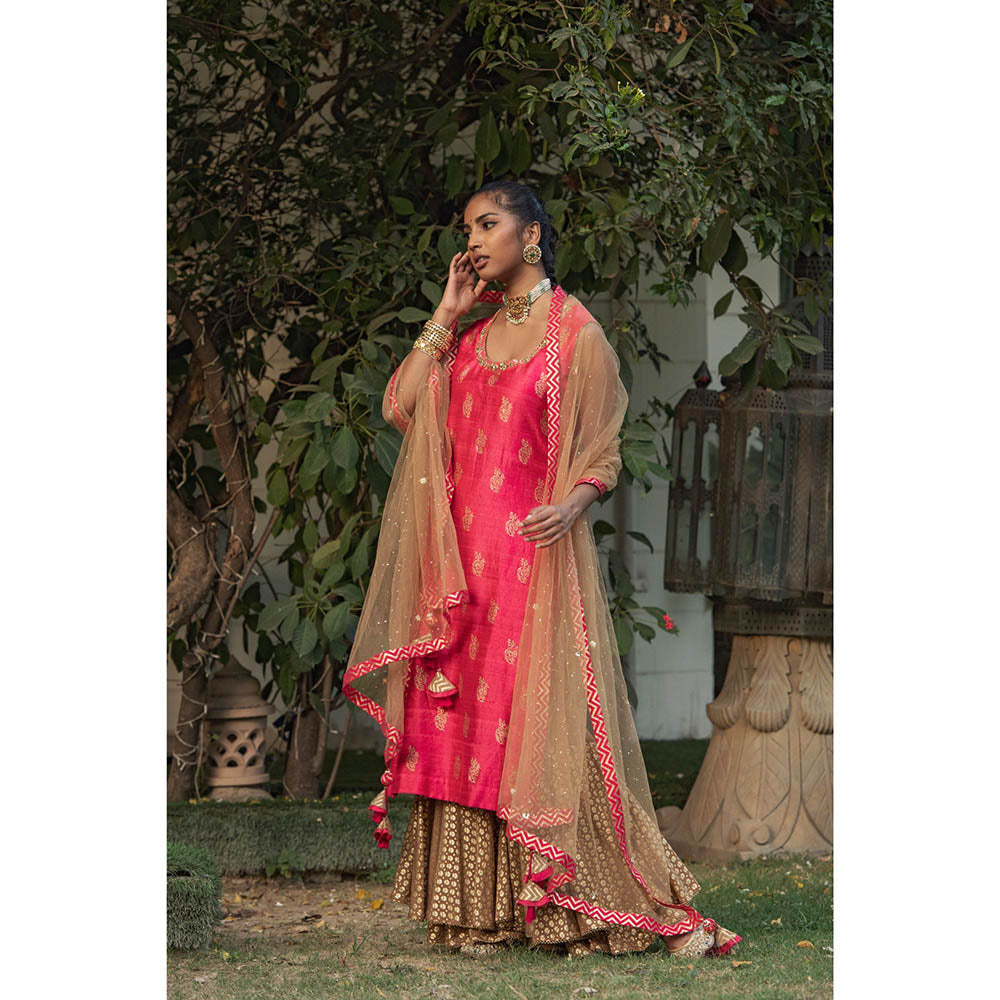 Nikasha Pink Printed Kurta With Sharara Pants & Dupatta (Set of 3)