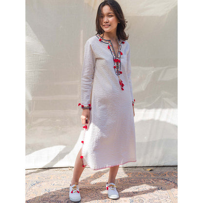 Nikasha Bulbul Straight Embroidered Dress