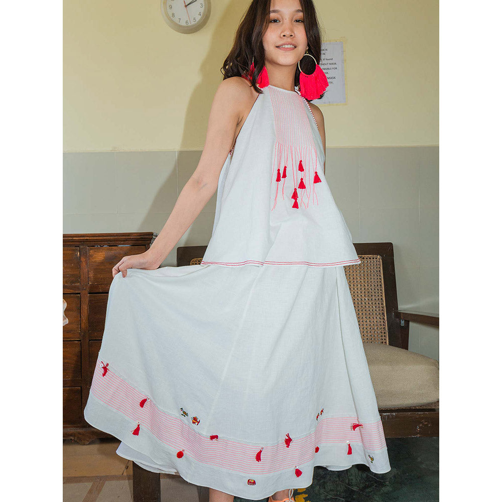 Nikasha Bulbul Embroidered Panelled Skirt