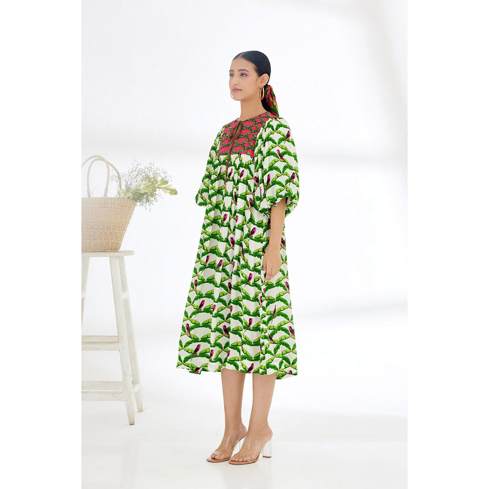 Nikasha Off White & Green Hand Painted Parakeet Print Dress
