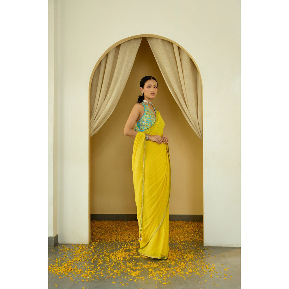 Nikasha Pitambari Pure Silk Chiffon Saree with Stitched Blouse