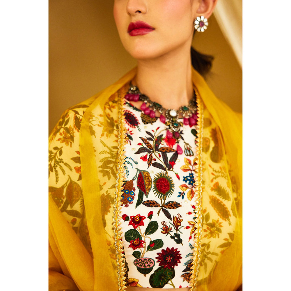 Nikasha Ochre Pure Organza Double Layer Lehenga (Set of 3)