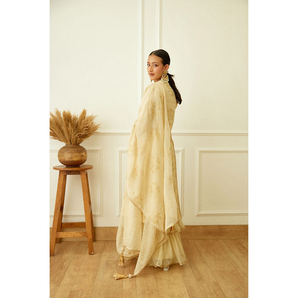 Nikasha Ghee Foil Embroidered Sharara (Set of 3)