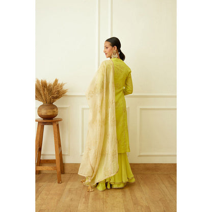 Nikasha Lime Green Foil Embroidered Sharara (Set of 3)