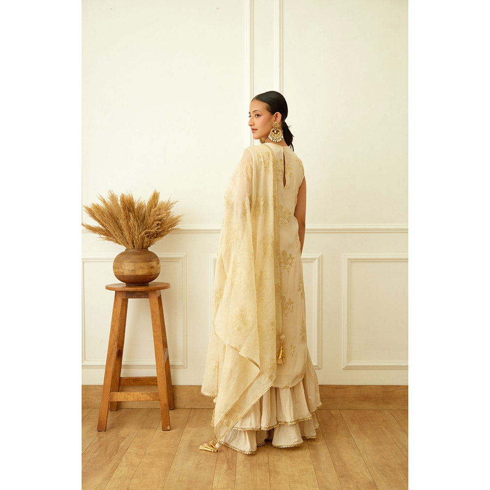 Nikasha Ghee Foil Embroidered Sharara (Set of 3)