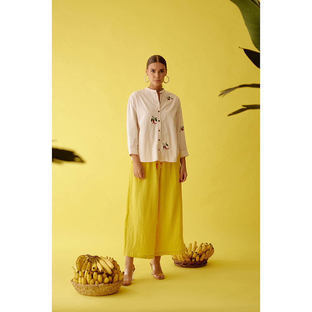 Nikasha Cream Hand Embroidered Chilli Applique Top