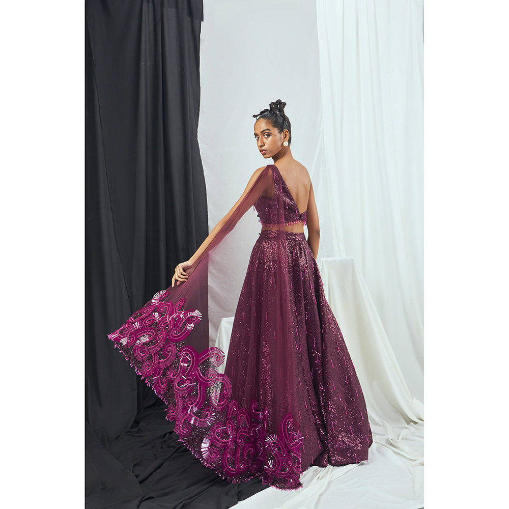 Nirmooha Embroidered Sequin Stitched Blouse with Attached Dupatta & Lehenga (Set of 2)