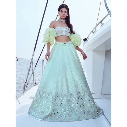 Nirmooha Hand Embroidered Lehenga with Bustier (Set of 2)