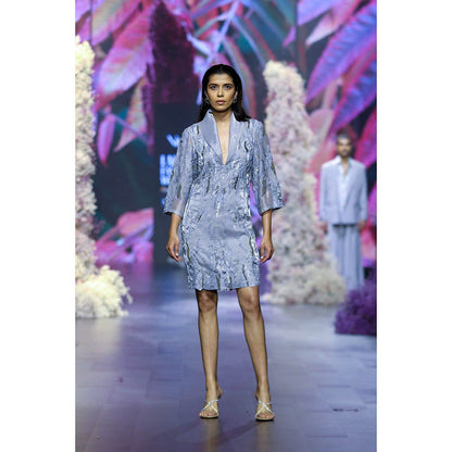 Nirmooha Glass Grey Organza Embellished Knee Length Dress