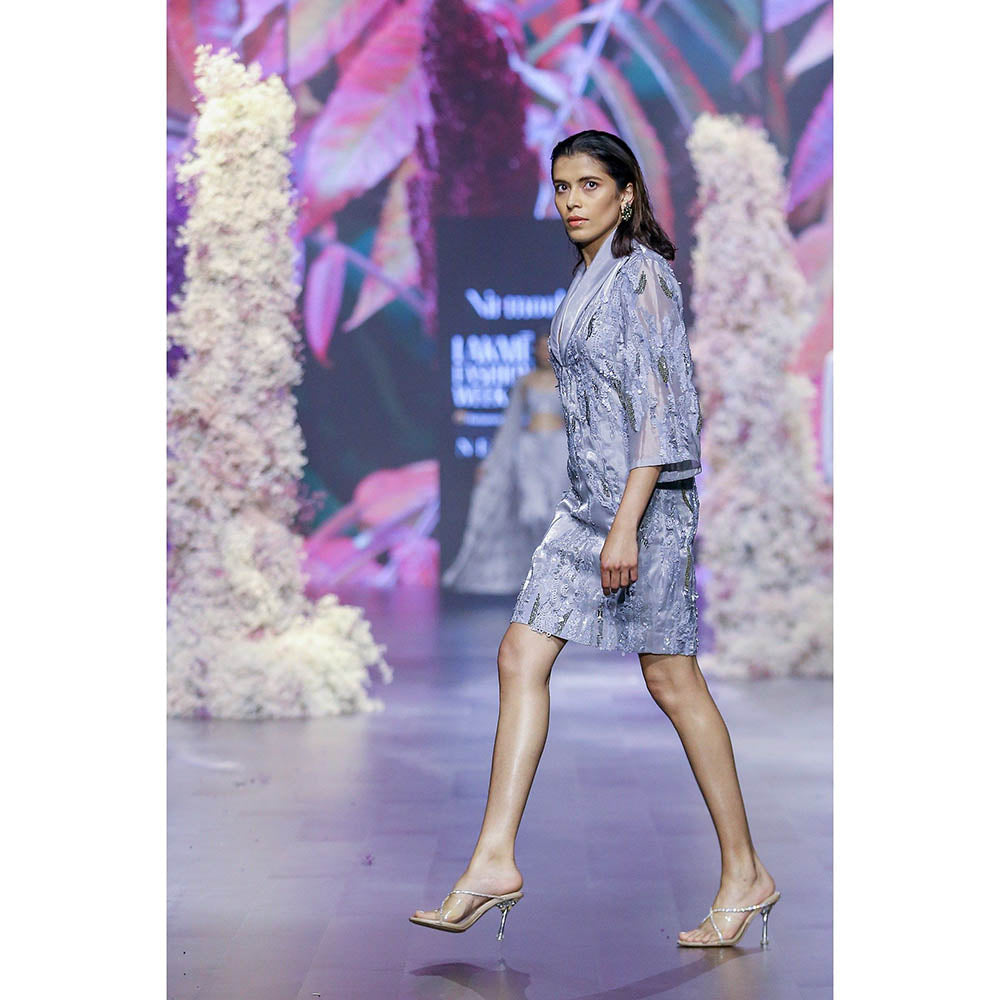 Nirmooha Glass Grey Organza Embellished Knee Length Dress