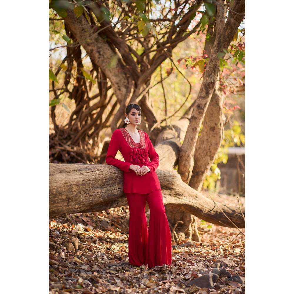 Nirmooha Red Crimson Diary Kurti and Sharara (Set of 2)